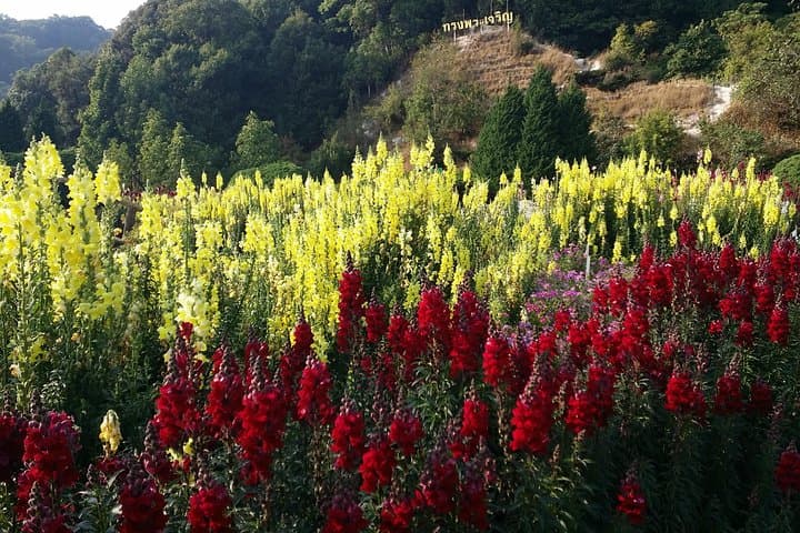 Hike Doi Inthanon: Thailand's Highest Peak, Waterfalls & Karen Village photo 6