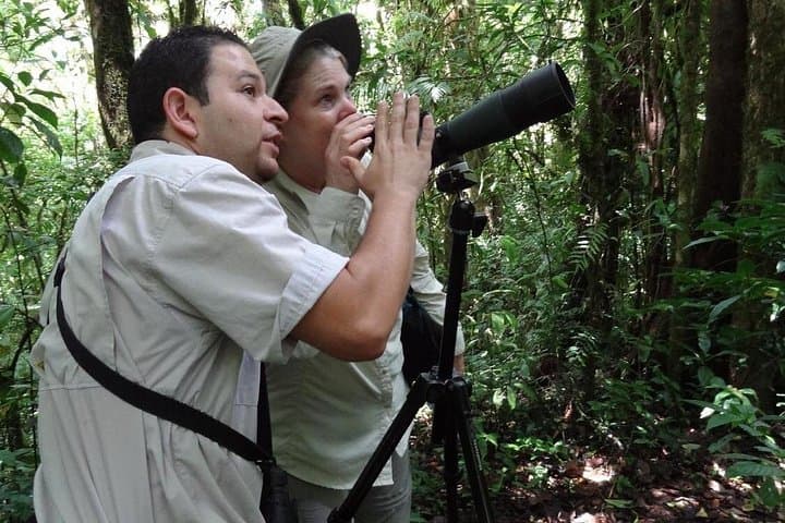 Monteverde Cloud Forest Birding Tour: Spot Resplendent Quetzals & Hummingbirds photo 3