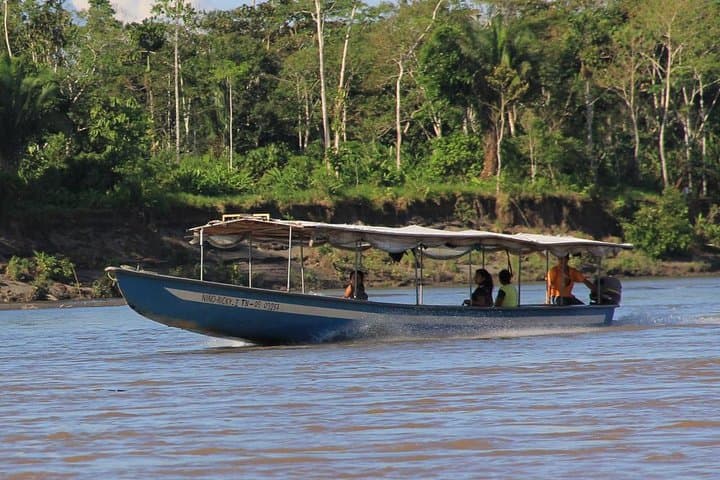 Yasuni Amazon: 5-Day Wildlife & Shuar Cultural Immersion photo 2