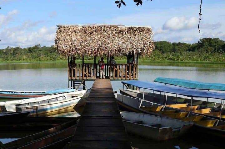 Yasuni Amazon: 5-Day Wildlife & Shuar Cultural Immersion photo 6