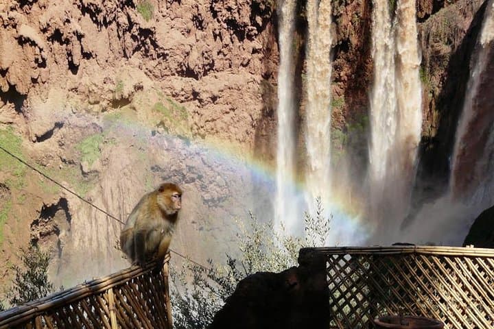 Imi N'Ifri Cave Tour and Ouzoud Waterfalls Day Trip from Marrakech photo 6