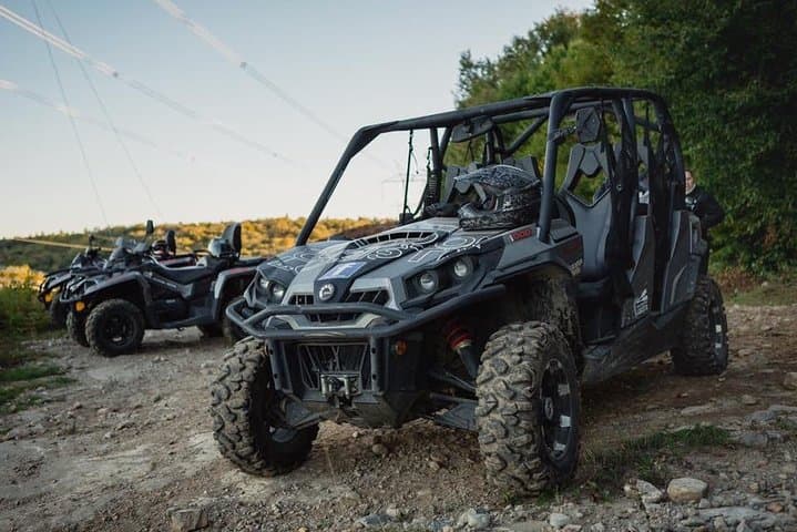 Laurentians Guided Buggy Tour Through Quebec's Forest Trails