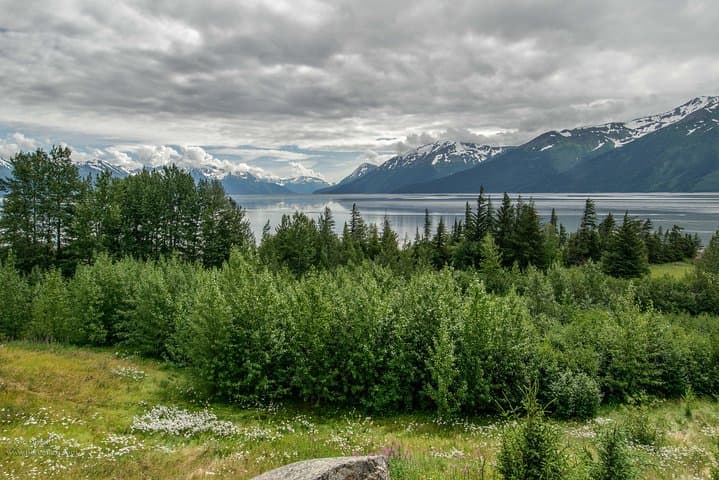 Alaska Wildlife Day Tour from Anchorage — Seward Highway & Conservation Center photo 4