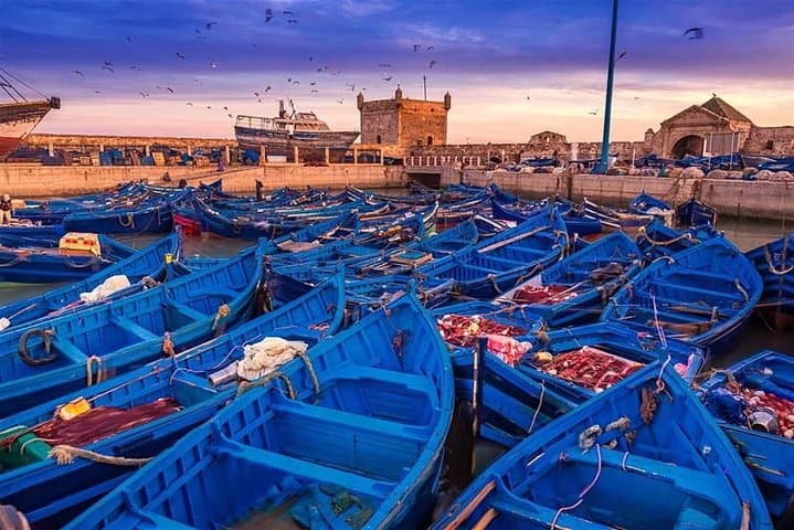 Essaouira Fishing Town Day Trip from Agadir — Medina, Port & Argan Forests photo 2
