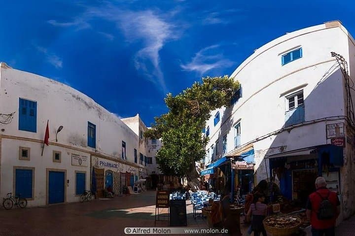 Essaouira Fishing Town Day Trip from Agadir — Medina, Port & Argan Forests photo 4