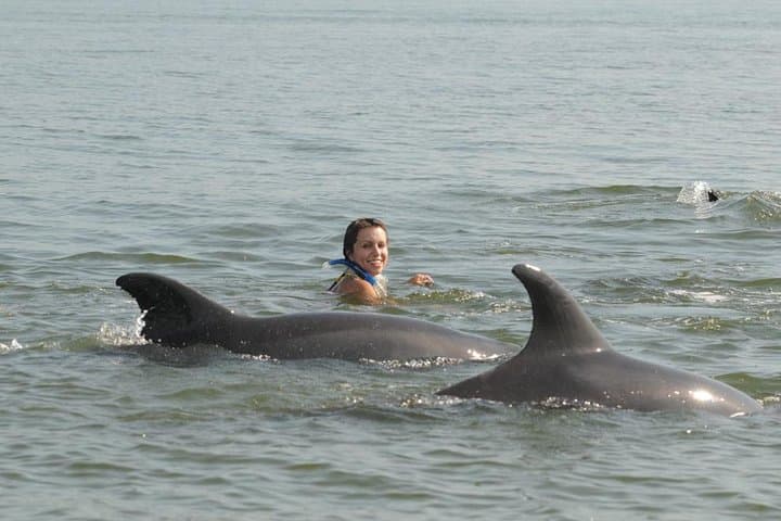 Swim with Wild Dolphins in Puerto Vallarta: Snorkel & Research Tour photo 1