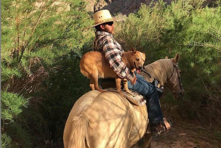 Las Vegas Horseback Ride with Meal: Sunrise & Sunset Wild West Trail Experience photo 2