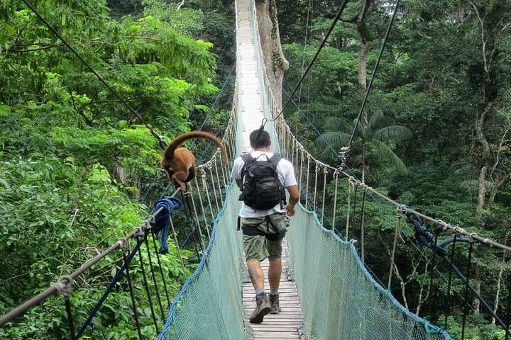 2-Day Tambopata Jungle Lodge: Lake Sandoval, Canopy Tower & Wildlife from Puerto Maldonado
