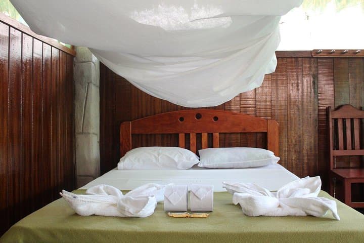 2-Day Tambopata Jungle Lodge: Lake Sandoval, Canopy Tower & Wildlife from Puerto Maldonado photo 3