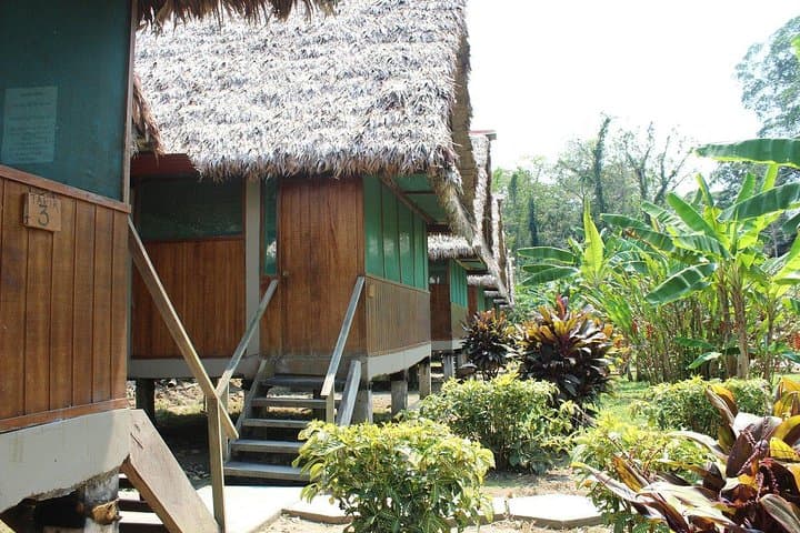 2-Day Tambopata Jungle Lodge: Lake Sandoval, Canopy Tower & Wildlife from Puerto Maldonado photo 6