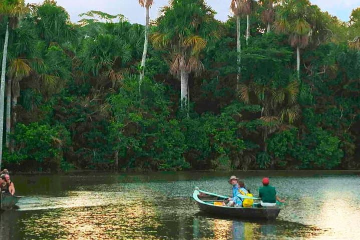 Tambopata Amazon 4-Day Wildlife & Canopy Lodge Adventure photo 5