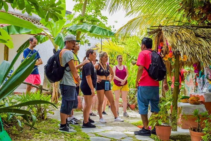 Cozumel West Side E‑Bike & Snorkel Adventure to Sky Reef photo 4