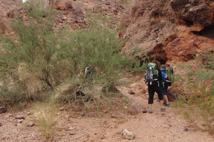 Hike White Rock Canyon to Arizona Hot Springs — Day Trip from Las Vegas photo 3