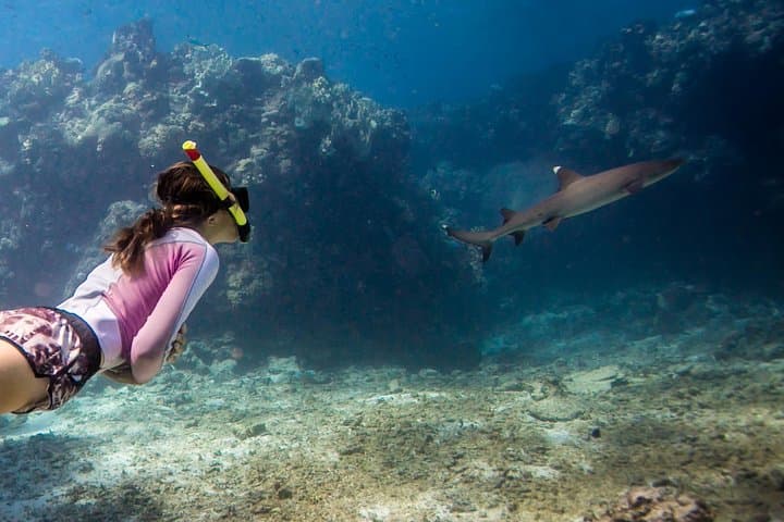 Snorkel with Reef Sharks at Kuata Island – Full-Day Yasawa Cruise photo 4