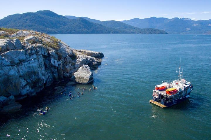 Howe Sound Snorkel & Seal Kayak Adventure from Vancouver photo 2