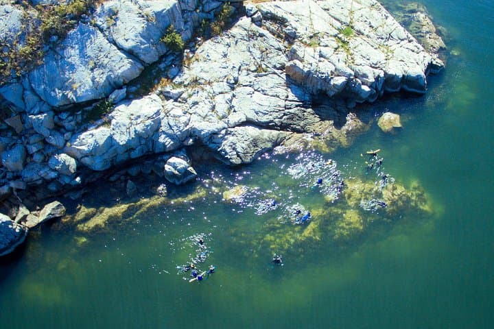 Howe Sound Snorkel & Seal Kayak Adventure from Vancouver photo 5