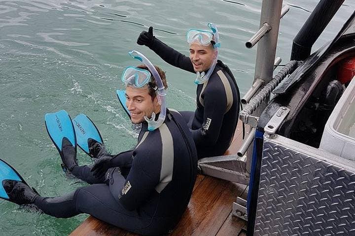 Howe Sound Snorkel & Seal Kayak Adventure from Vancouver photo 6