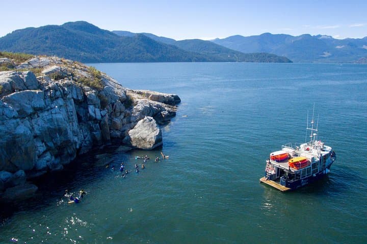 Howe Sound Scuba Charter from Horseshoe Bay — Pinnacles, Seals & Drift Dives photo 3