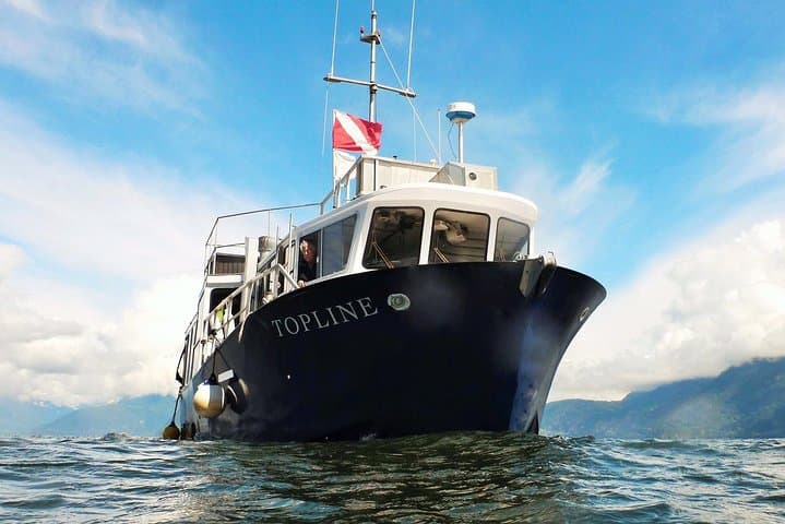 Howe Sound Scuba Charter from Horseshoe Bay — Pinnacles, Seals & Drift Dives photo 5