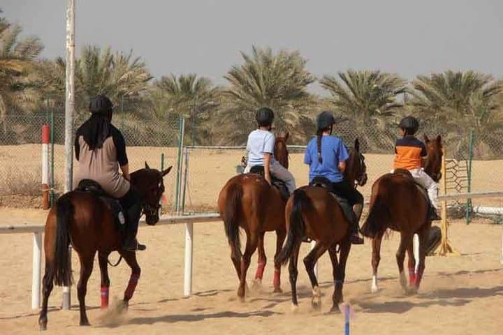 Desert Horse Riding in Mushrif Park: 1-Hour Arabian Horse Experience photo 4