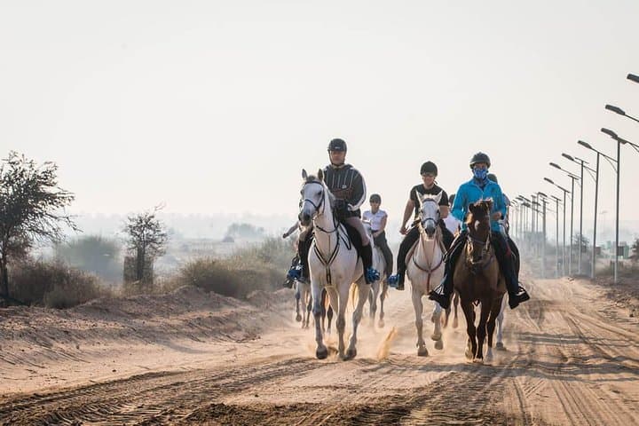 Desert Horse Riding in Mushrif Park: 1-Hour Arabian Horse Experience photo 2