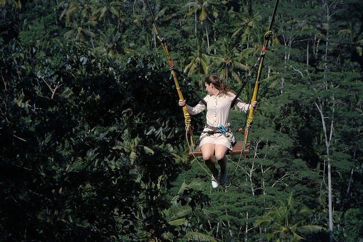 Tukad Cepung Waterfall, Bali Swing & Pengelipuran Village Day Tour photo 3