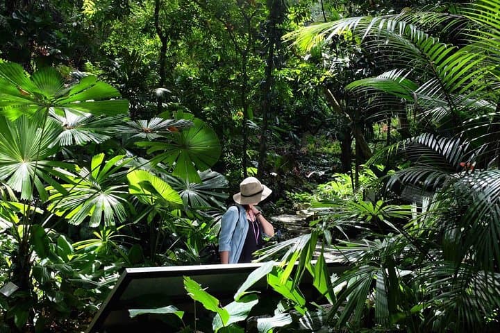 Entopia & Tropical Spice Garden Tour — Butterflies, Spices, and Coastal Views in Penang photo 6