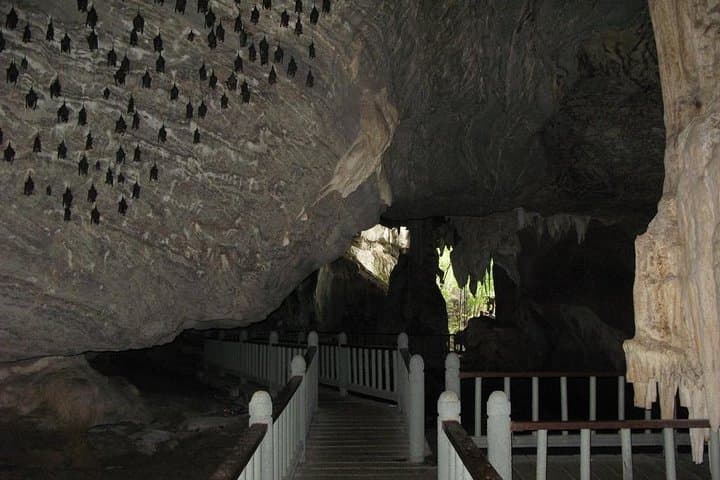 Langkawi Mangrove Kayaking on the Kilim River: Guided Wildlife & Cave Visit photo 3