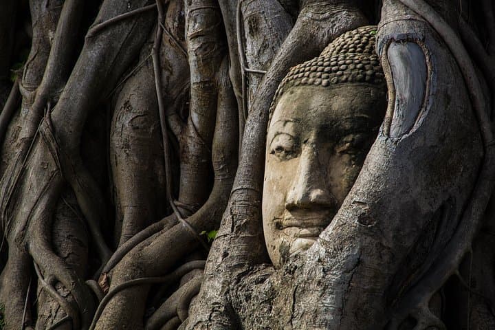 Ayutthaya Private Day Tour: Coach Sightseeing with Grand Pearl Chao Phraya Cruise photo 2