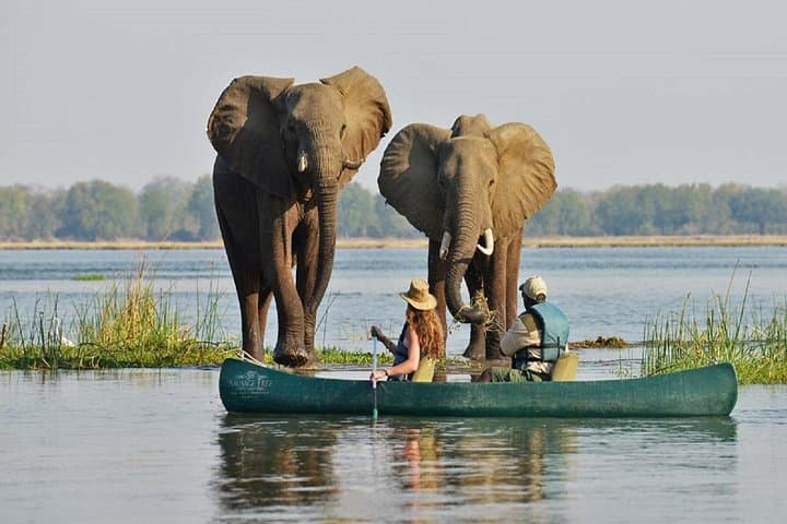 Victoria Falls & Zambezi Sundowners: 4-Day Big Five and Waterfall Escape