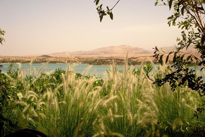 Agafay Desert & Atlas Mountains Day Trip from Marrakech — Camels, Berber Tea & Waterfall Hike photo 6