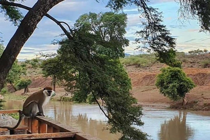 Sodere Hot Springs Day Trip from Addis Ababa — Awash River Baths & Wildlife photo 6
