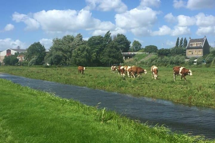 Electric Scooter Tour: Amsterdam to Volendam & Marken Half-Day Adventure photo 2