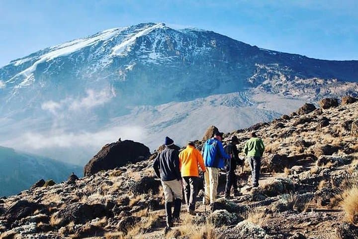 9-Day Lemosho Route: Kilimanjaro from Arusha with Crater Camp photo 6