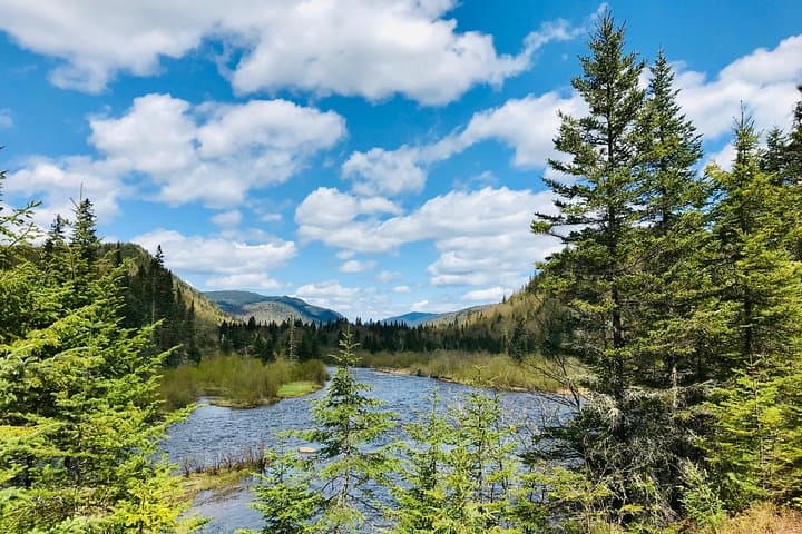 Guided Hike to the Valley Viewpoints in Jacques-Cartier National Park from Quebec City photo 4