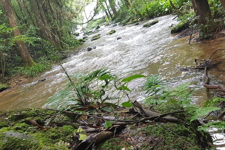 Doi Inthanon Hill-Tribe Home Stay & 3-Day Hike from Chiang Mai photo 5
