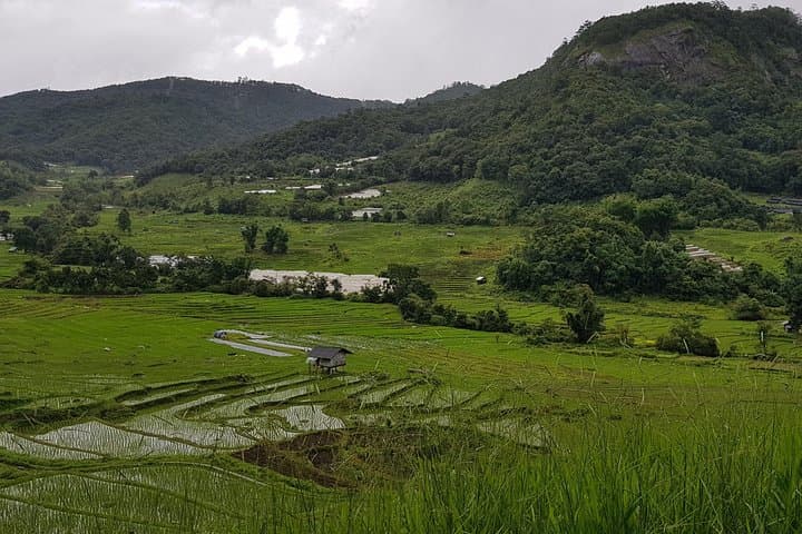 Doi Inthanon Hill-Tribe Home Stay & 3-Day Hike from Chiang Mai photo 6