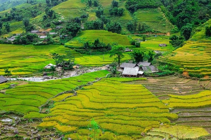 Sapa Trekking & Luxury Overnight: Cat Cat to Ta Van in 2 Days