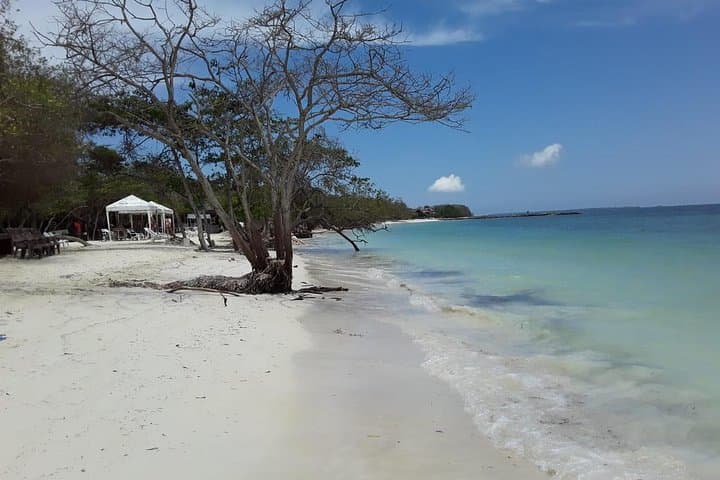 Three Islands in One Day: Barú & Rosario Islands Boat Tour from Cartagena photo 3