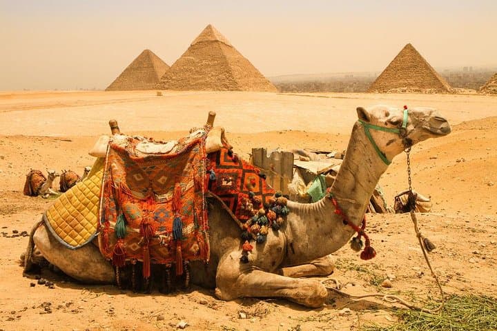 Six-Day Cairo & Luxor Heritage Tour — Pyramids, Temples and Overnight Train