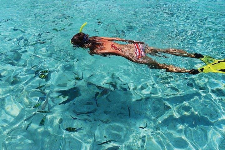 Isla Coronado Snorkel & Sea Lion Cruise from Loreto: Swim, Hike and Beach Lunch photo 2