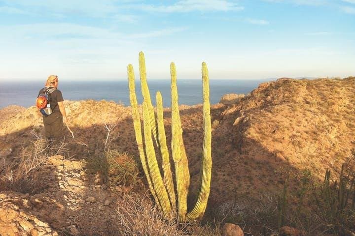 Tabor Canyon Guided Hike — Loreto Day Hike in Baja California Sur