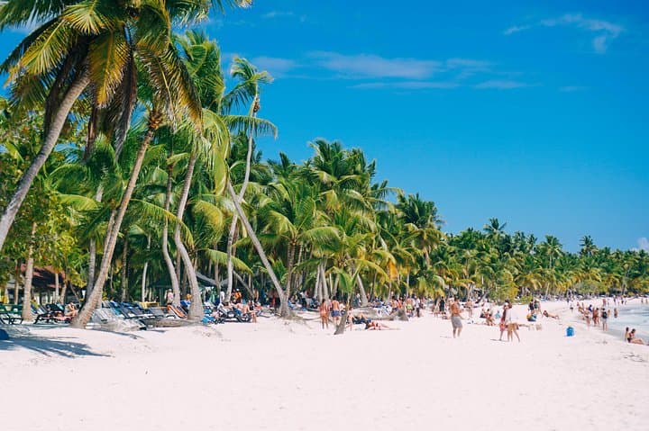 Saona Island Day Trip from Punta Cana — Catamaran, Natural Pool & Beach BBQ photo 2