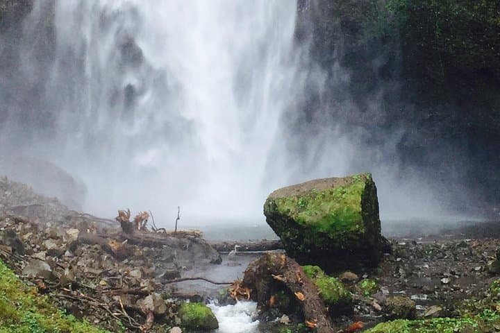 Private Half-Day Columbia River Gorge Waterfalls Tour from Portland photo 5