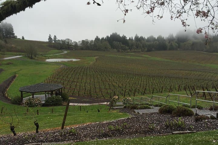 Willamette Valley Private Wine Tour from Portland — Tasting Fees Included photo 6