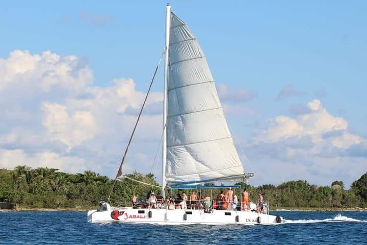 Saona Island Sailing Tour: All-Inclusive Catamaran Day Trip from Bayahibe photo 4