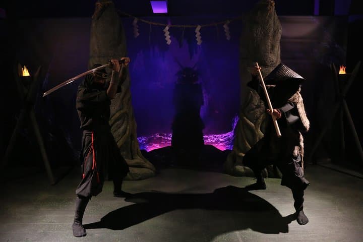 Tokyo Ninja Lesson: 1-Hour Hands-On Training with a Japanese Master photo 5