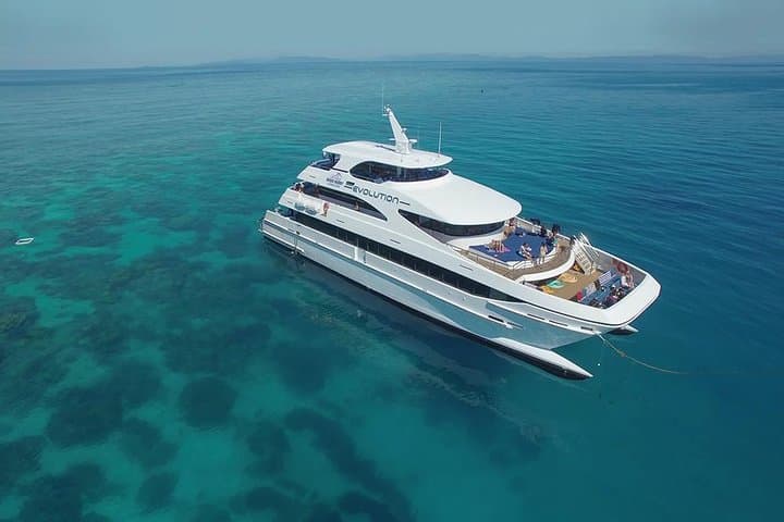 3-Day Great Barrier Reef, Daintree & Chillagoe Caves Adventure from Cairns photo 4