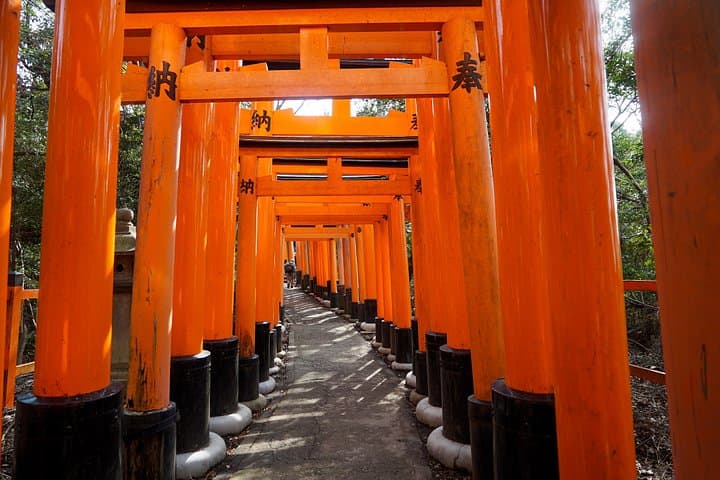 Secret Trails of Fushimi Inari: Hidden Hiking Tour from Tofukuji photo 2