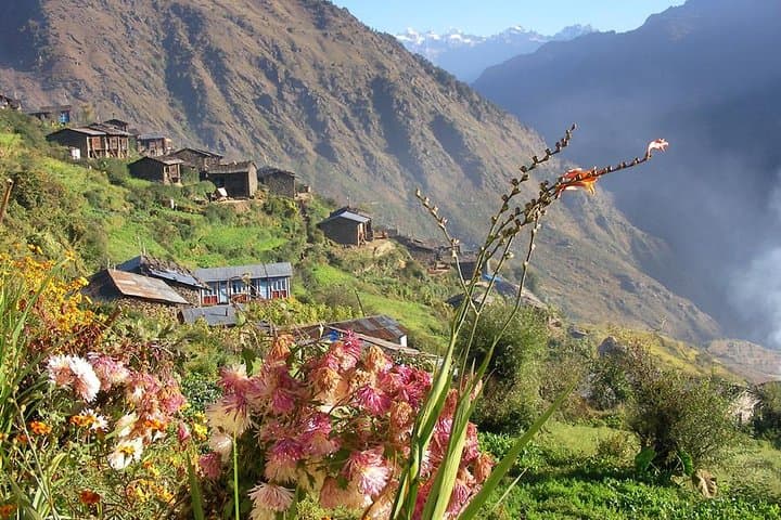 Langtang Valley Trek: 8-Day Kyanjin Gompa Trek from Kathmandu photo 4